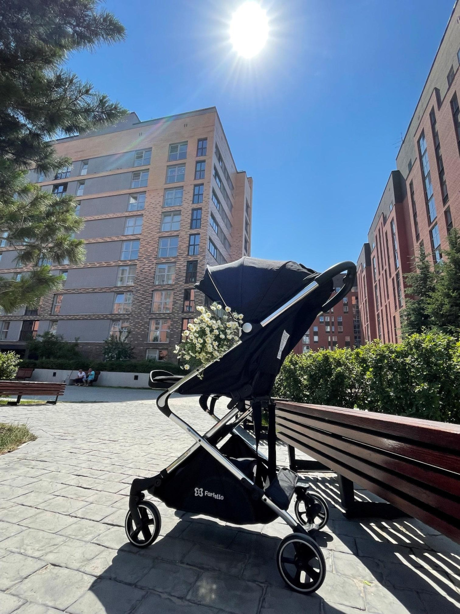 Коляска детская прогулочная Farfello Bliss (Black/Черный)