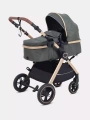 Коляска-трансформер Rant Basic Roller Gold 2024 Olive
