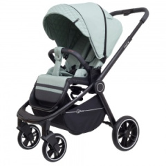 Коляска прогулочная Rant Flex Ocean green. Цвет: Зеленый