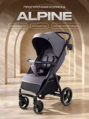 Коляска прогулочная Rant Basic Alpine 2026 Dark grey