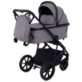 Коляска 3 в 1 Rant Basic Nexus Cloudburst