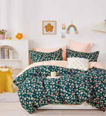 Twill евро 4 наволочки TPIG6-1840 КОД1038