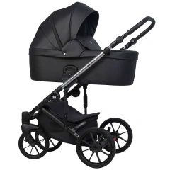 Коляска 2 в 1 Riko Nano Thermo 01 Black