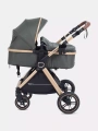 Коляска-трансформер Rant Basic Roller Gold 2024 Olive