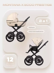 Коляска 2 в 1 Riko Basic Montana X Ecco Prestige 15 Ivory beige