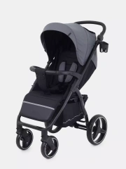 Коляска прогулочная Rant Basic Alpine 2025 Graphite