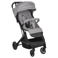 Коляска прогулочная Indigo TRIP светло-серый