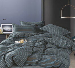 Постельное белье Tango Novella 2-спальный 2 наволочки TS02-X237-70 код1002