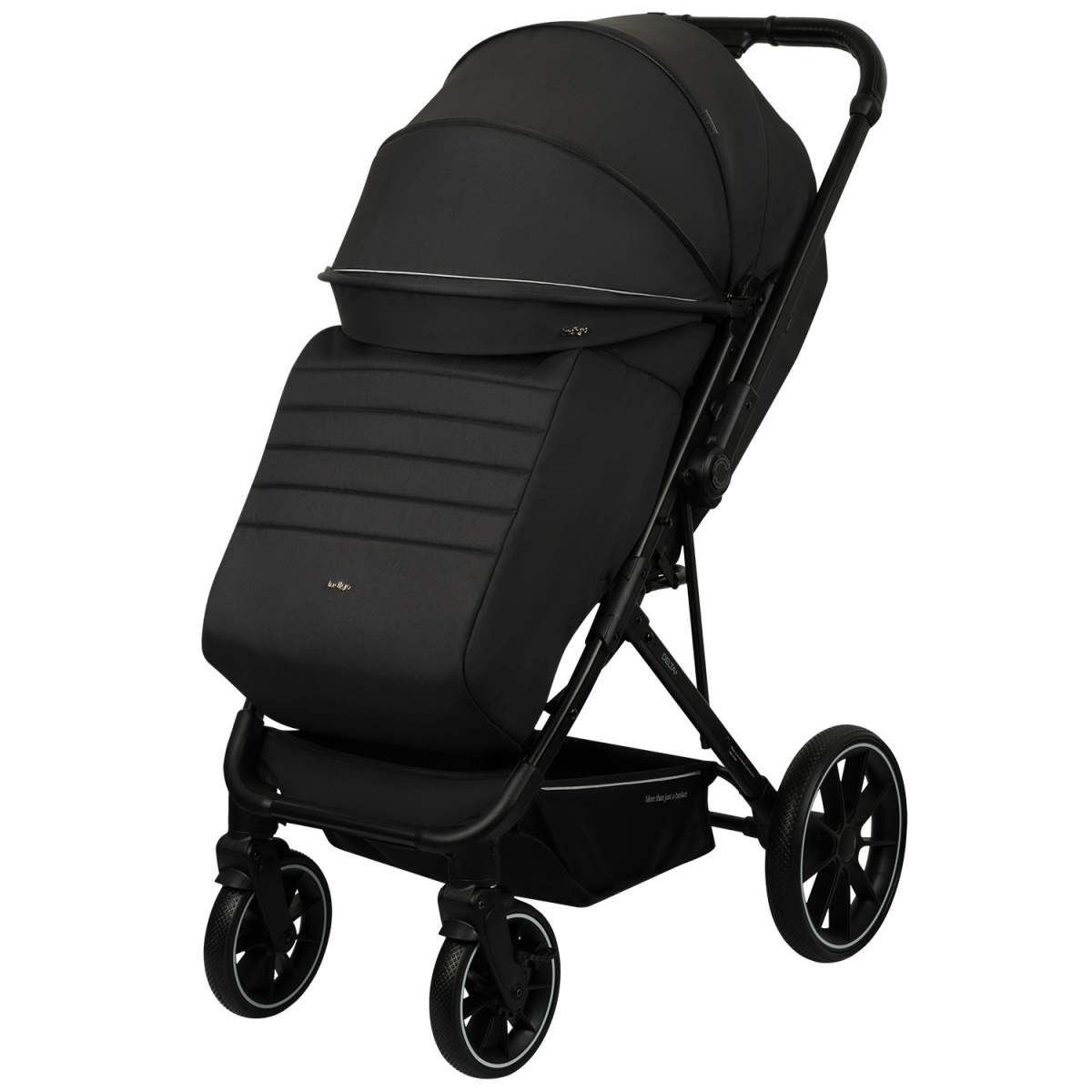 Коляска прогулочная Indigo Delta+ черный