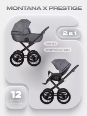 Коляска 2 в 1 Riko Basic Montana X Prestige 04 графит