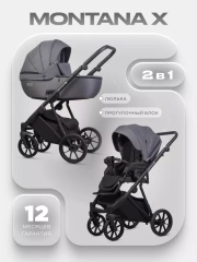 Коляска 2 в 1 Riko Basic Montana X 04 графит