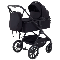 Коляска 2 в 1 Rant Moss Midnight black