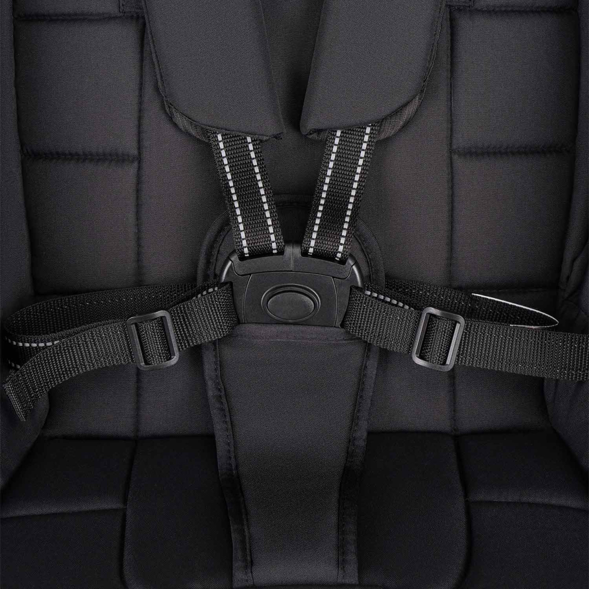 Коляска прогулочная Indigo ERA черный